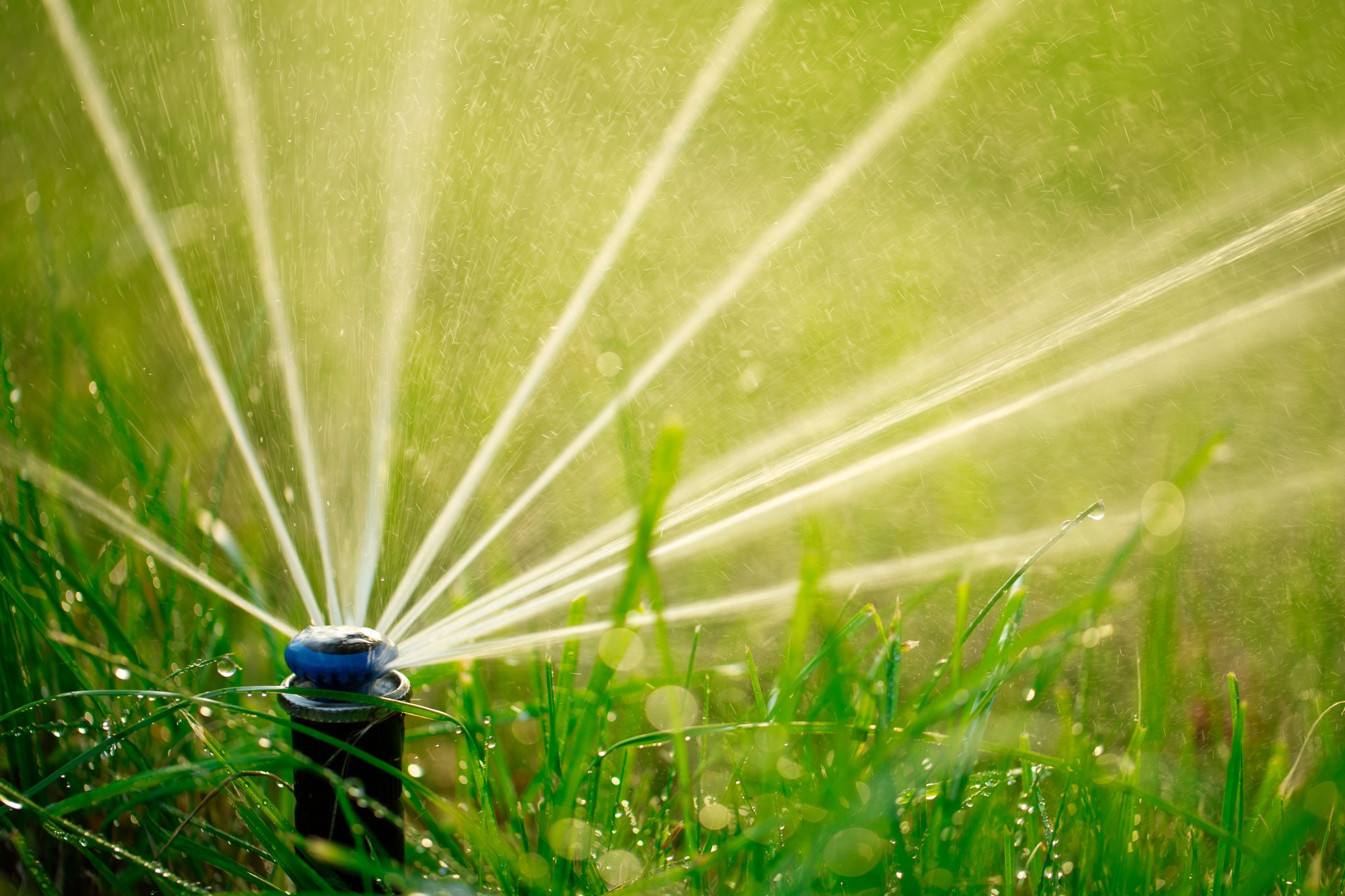 Aqua Symphony: Dance of Droplets in Automatic Lawn Irrigation